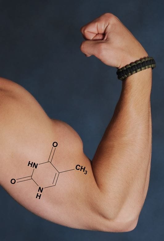whey valle protein